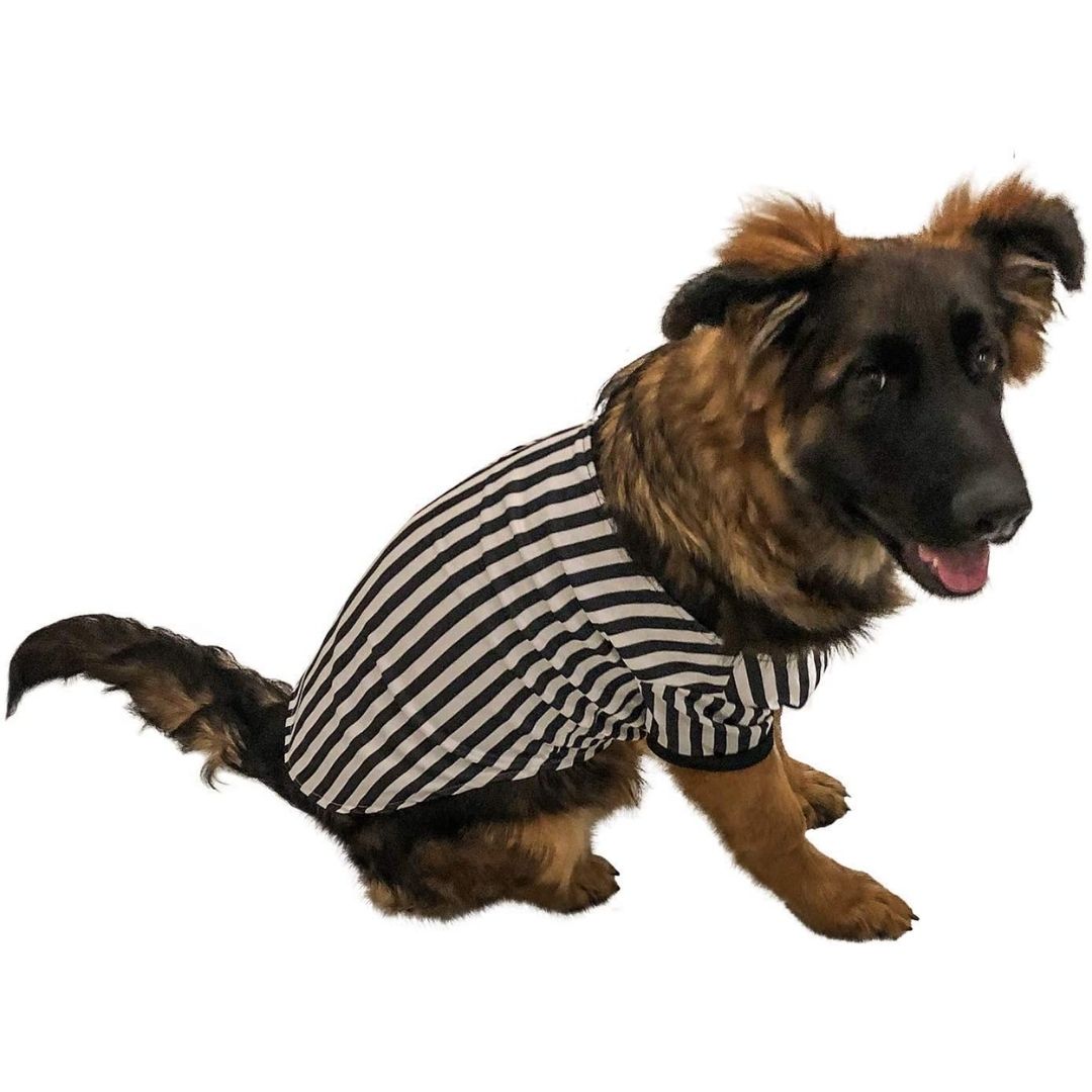 Midlee Referee Dog Halloween Costume