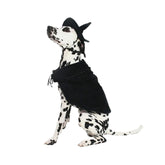 Midlee - Witch Cape and Hat Dog Costume