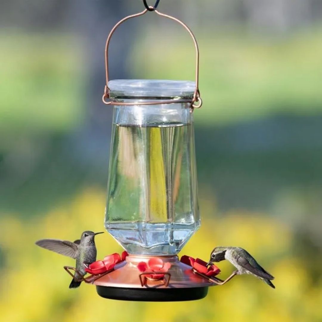 Perky-Pet Crystal Top-Fill Glass Hummingbird Feeder