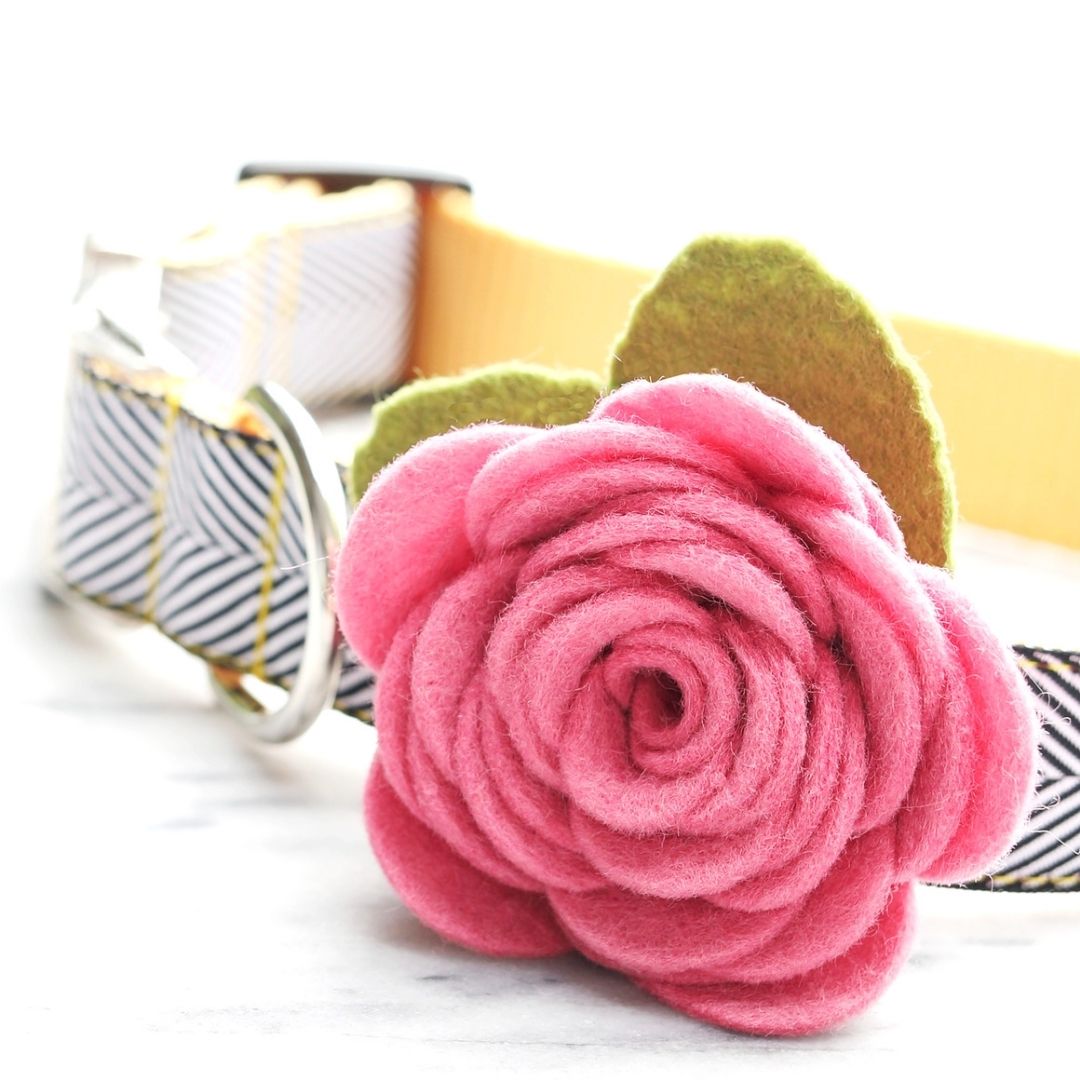 Mimi Green - Dog Collar Rose Flower Attachment