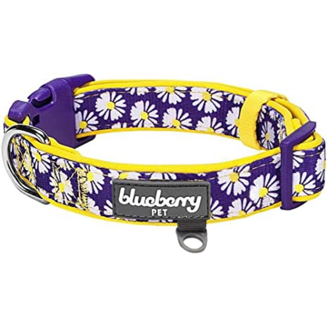 Blueberry Pet Daisy Neoprene Padded Dog Collar