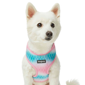 Blueberry sales dog harness
