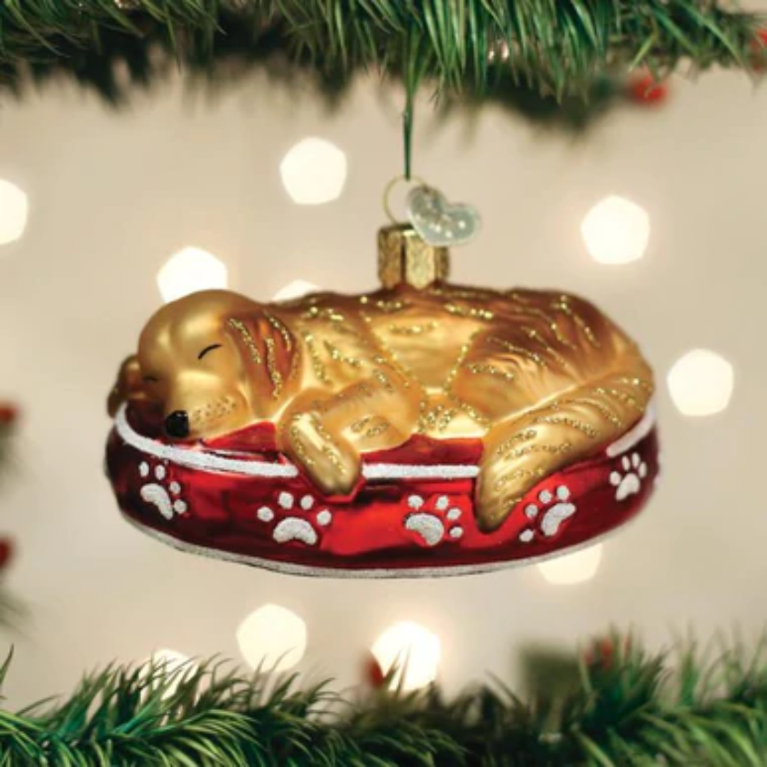 Old World Christmas - Sleepy Golden Retriever Ornament