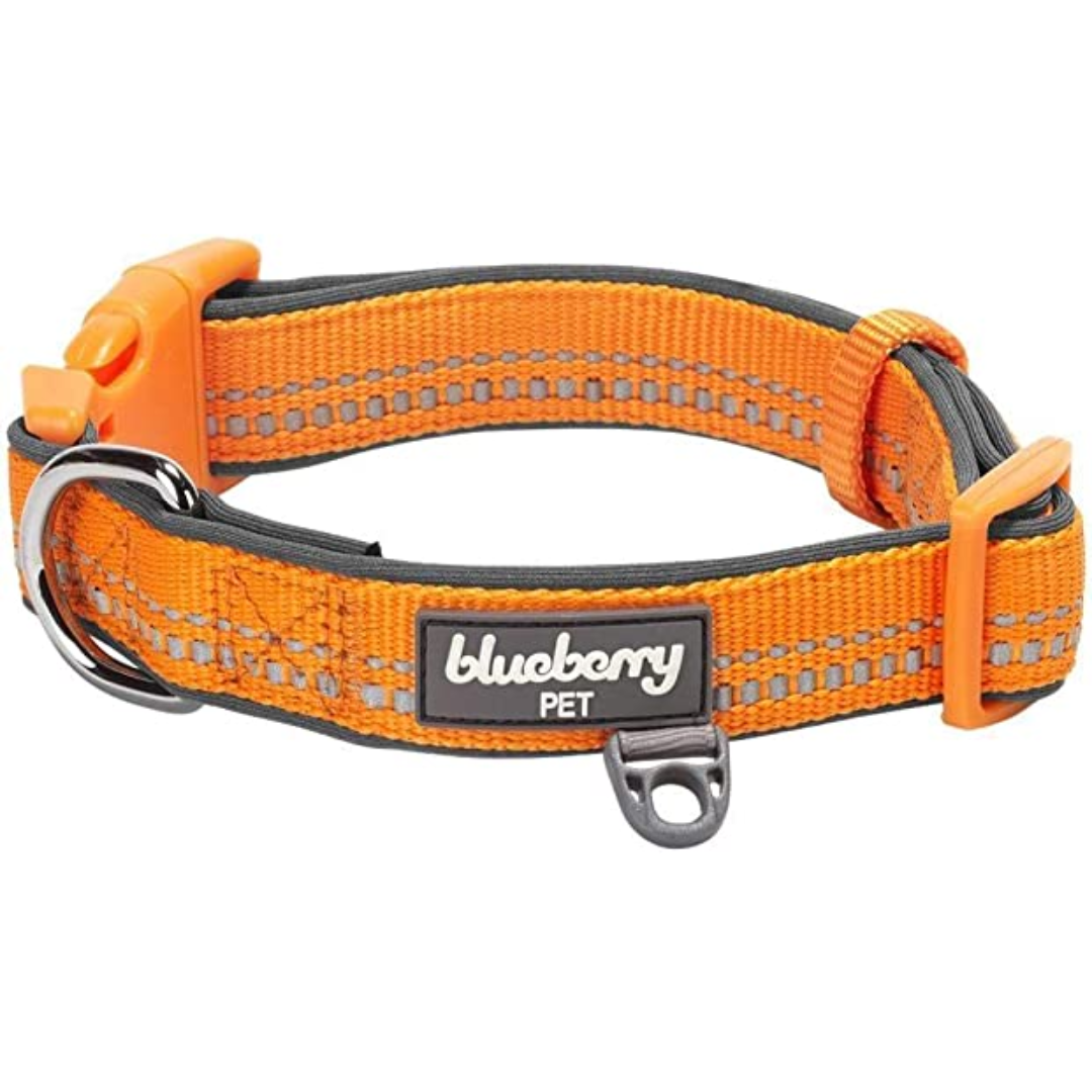 Blueberry Pet - 3M Reflective Neoprene Padded Dog Collar Orange Peel