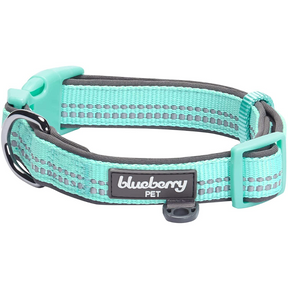 Blueberry Pet - 3M Reflective Neoprene Padded Dog Collar Pastel Mint Blue