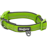 Blueberry Pet - 3M Reflective Neoprene Padded Dog Collar Green Flash