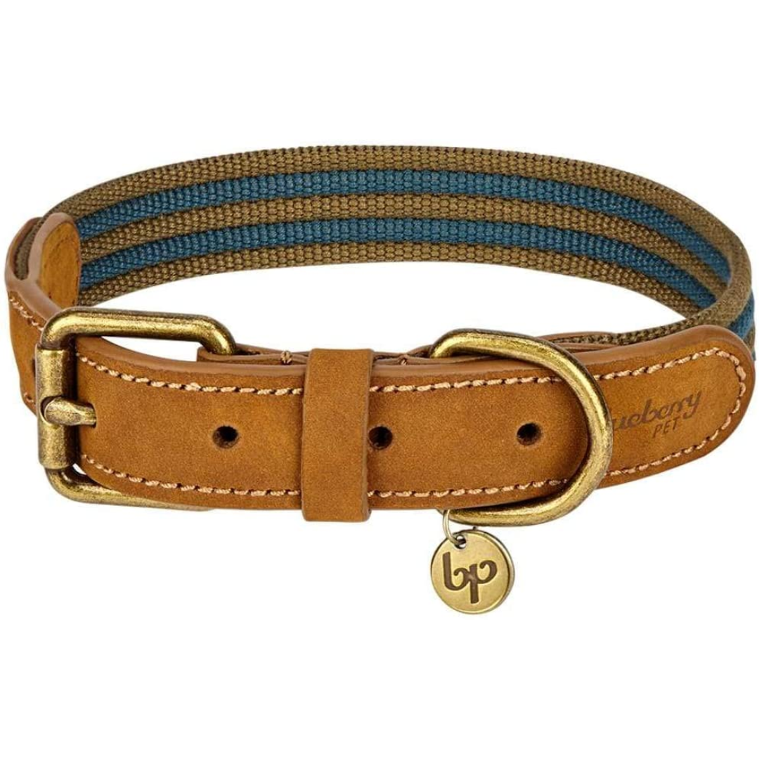 Blueberry Pet Leather & Polyester Dog Collar - Navy & Olive