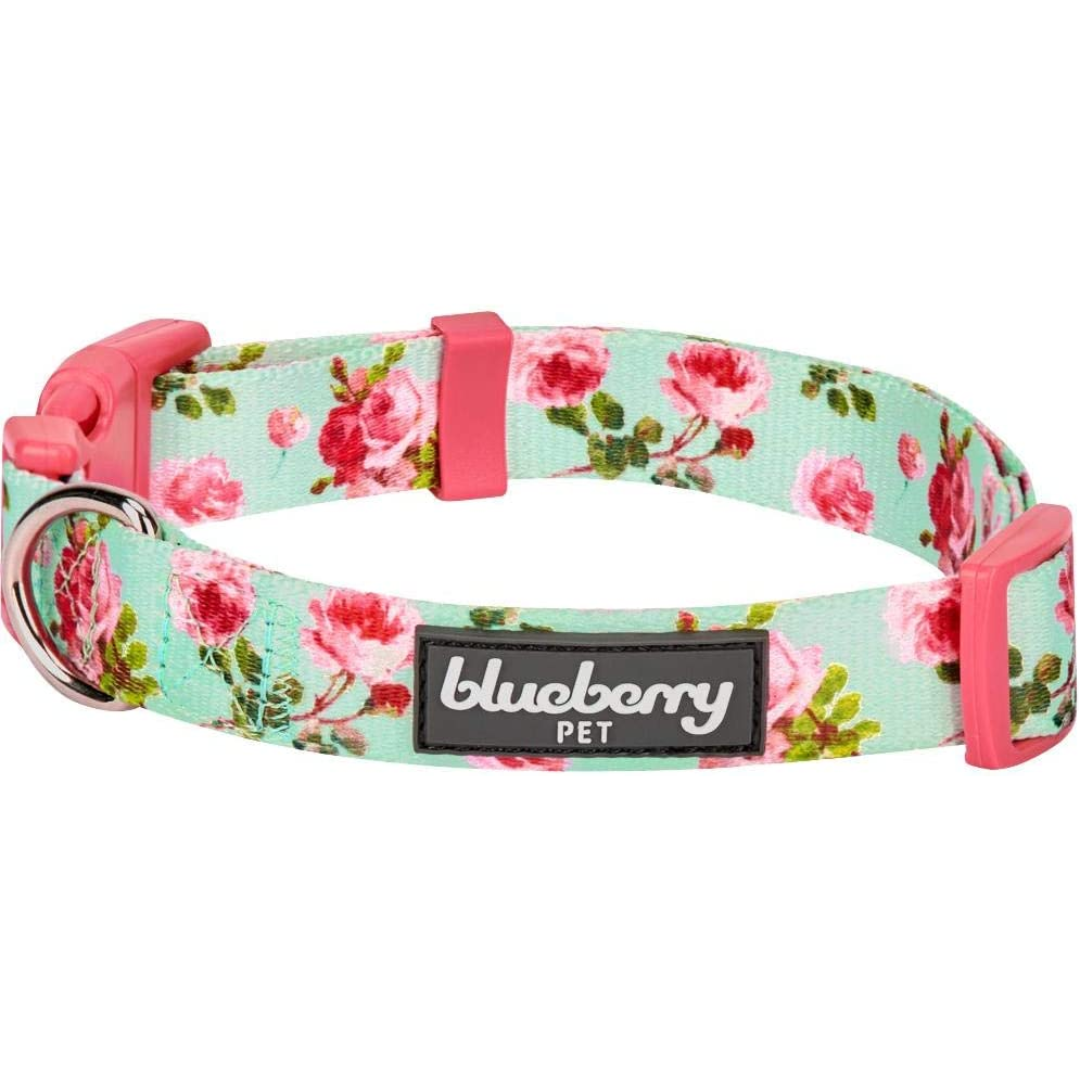 Blueberry Pet Spring Scent Dog Collar