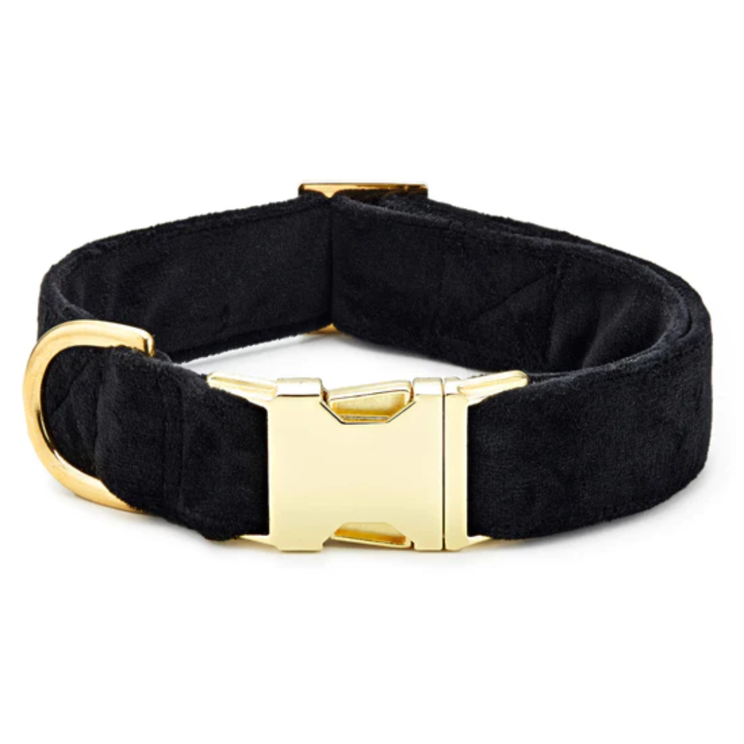 Foggy Dog - Black Velvet Dog Collar
