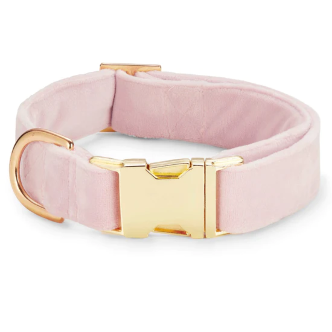 Dog Collar Blush Pink Velvet
