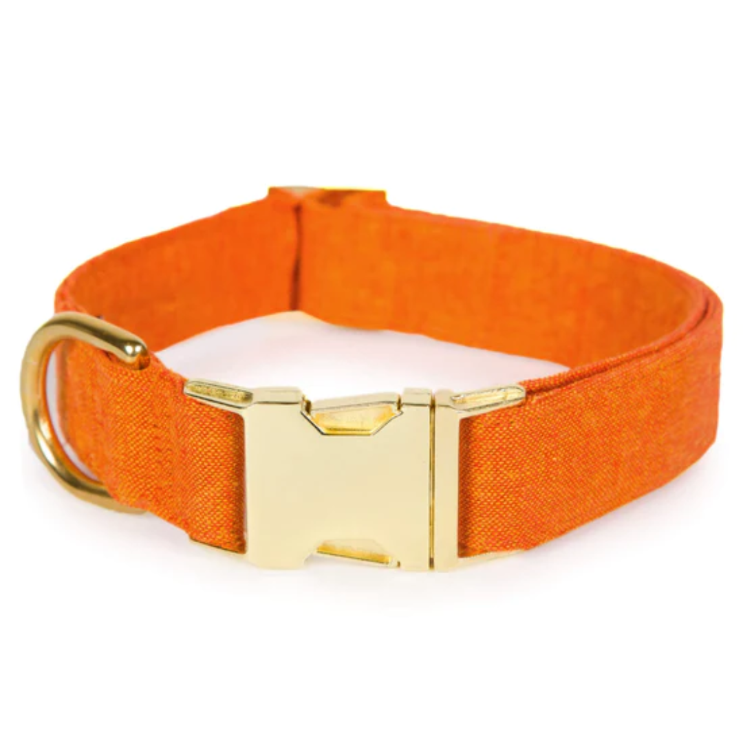 Satsuma Orange Dog Collar