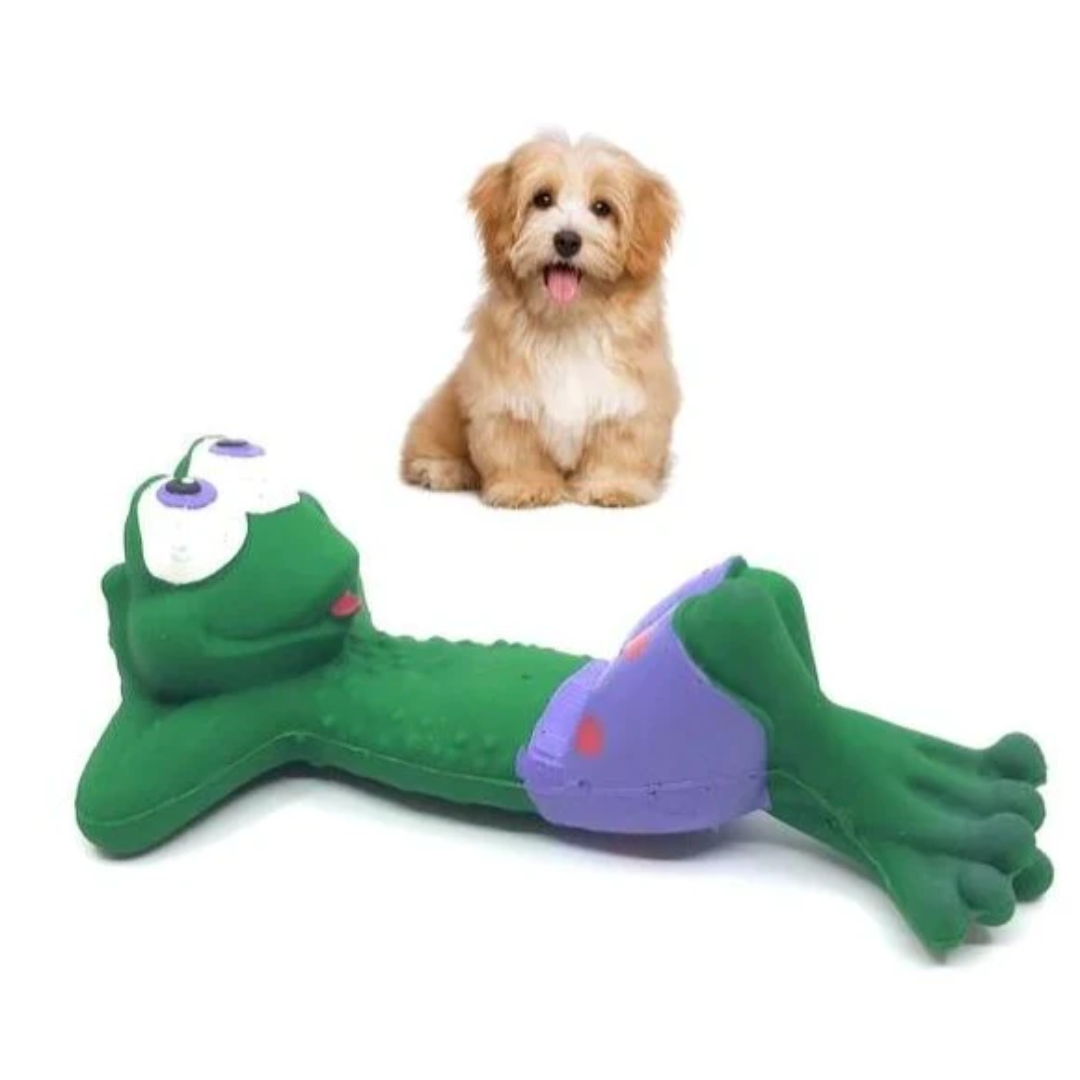 Lanco - Beach Frog Dog Toy