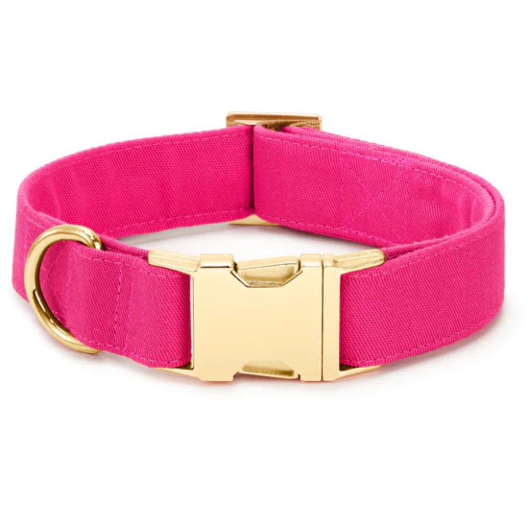 Foggy Dog - Hot Pink Dog Collar