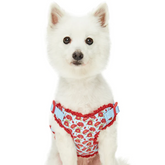 A Scent of Spring Balloon Flower Dog Harness Blue