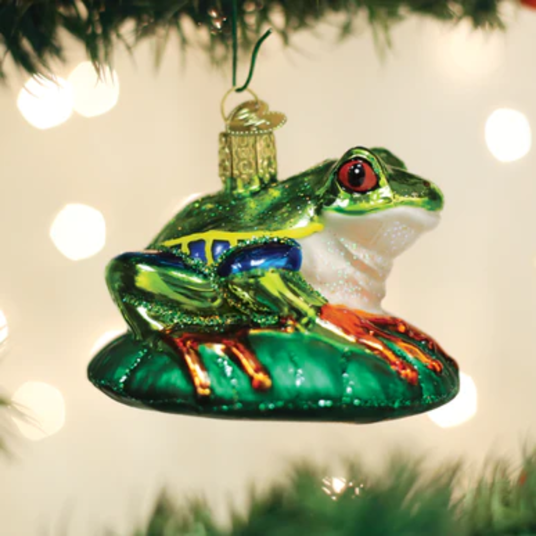 Old World Christmas - Red-eyed Tree Frog Ornament