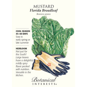 Florida Broadleaf Mustard Seeds