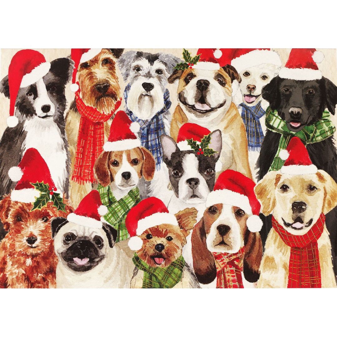 Deck the Dogs Deluxe Boxed Holiday Cards