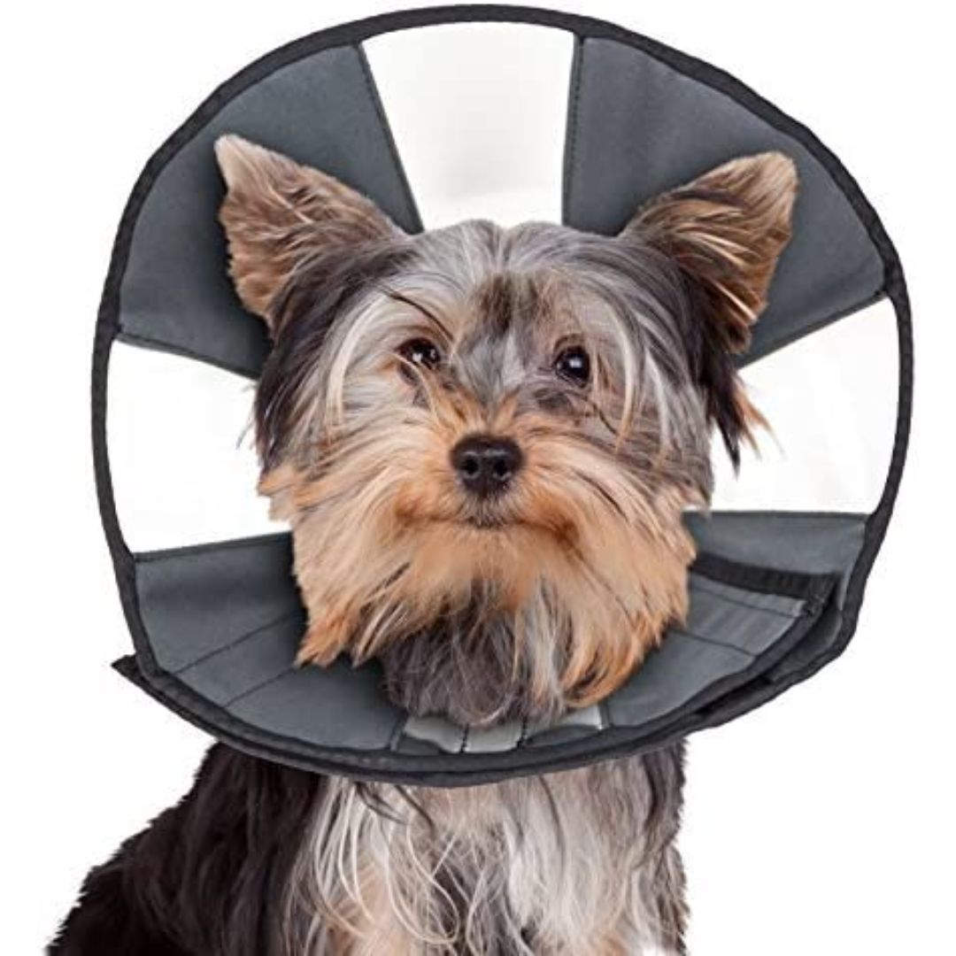 ZenPet ProCone Pet E-Collar for Dogs and Cats
