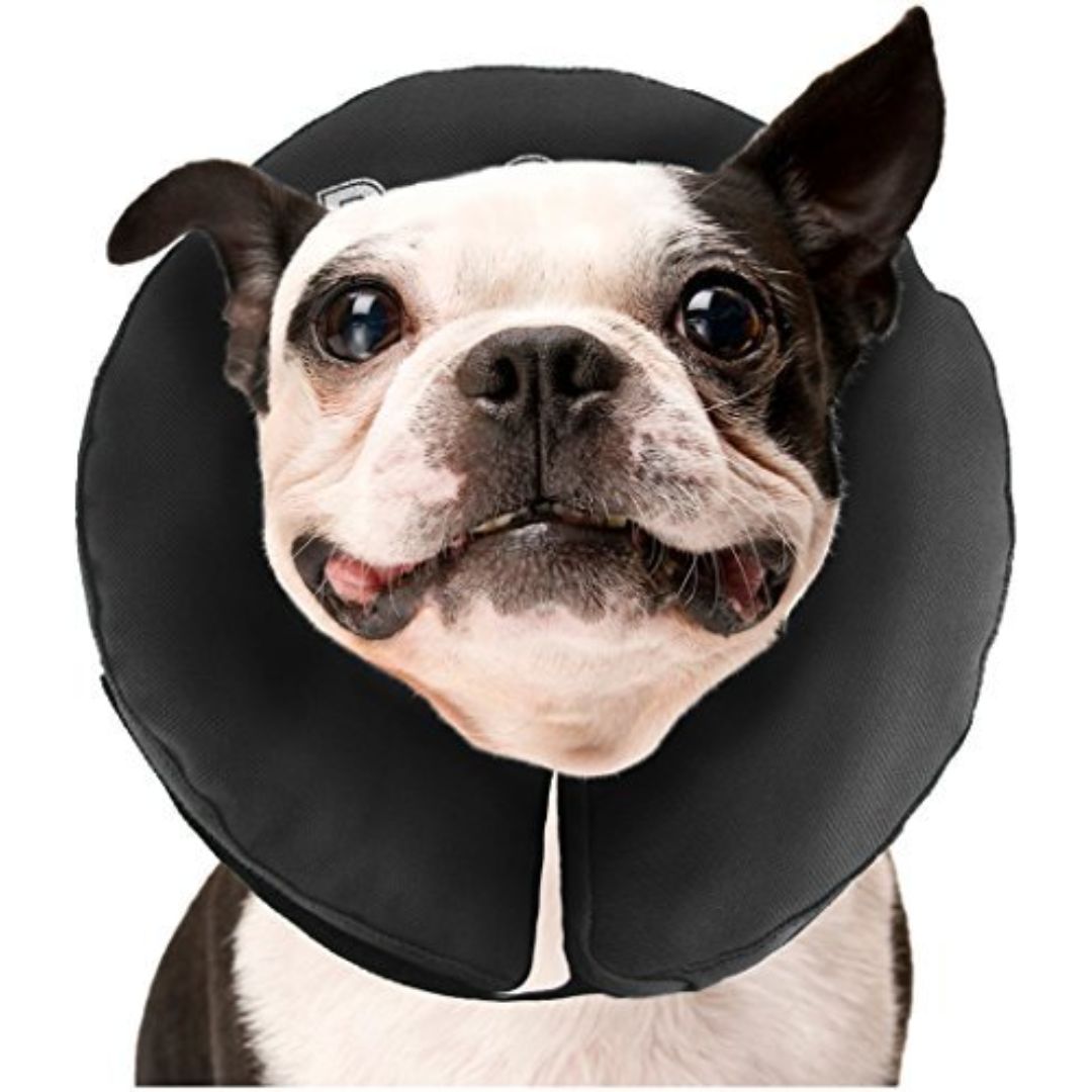ZenPet Inflatable Recovery Collar for Dogs and Cats