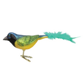 Old World Christmas - Green Jay Ornament