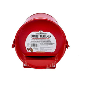 Painted Galvanized Bucket Waterer for Poultry