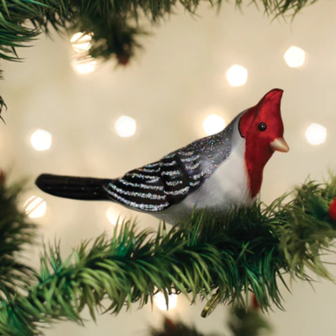 Old World Christmas - Red-crested Cardinal Ornament
