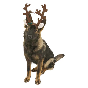 Midlee - Brown Reindeer Dog Antlers Headband