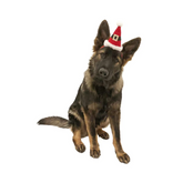 Midlee - Santa Hat Dog Headband