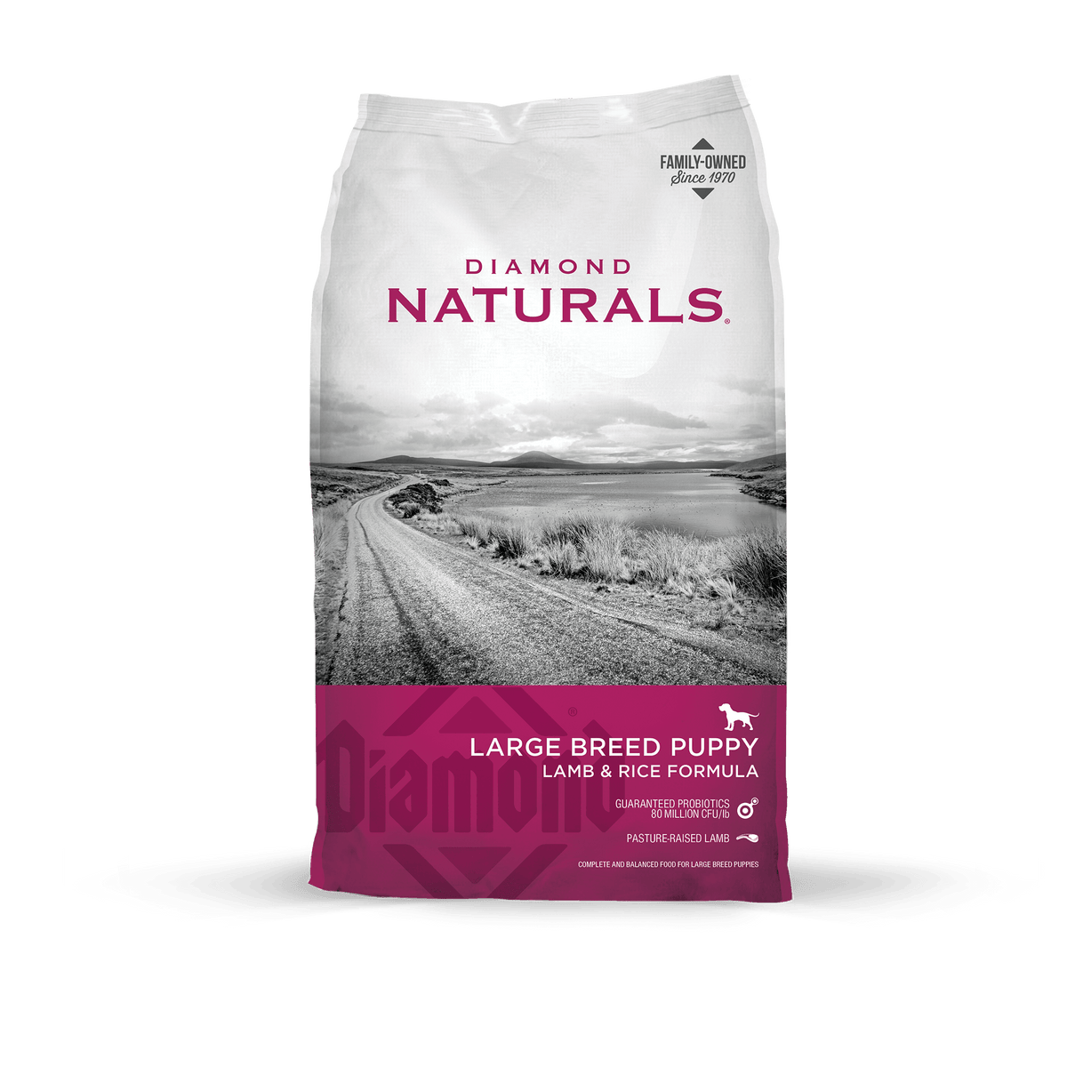 Diamond Naturals Large Breed Puppy Lamb Rice Formula Dry Dog Food
