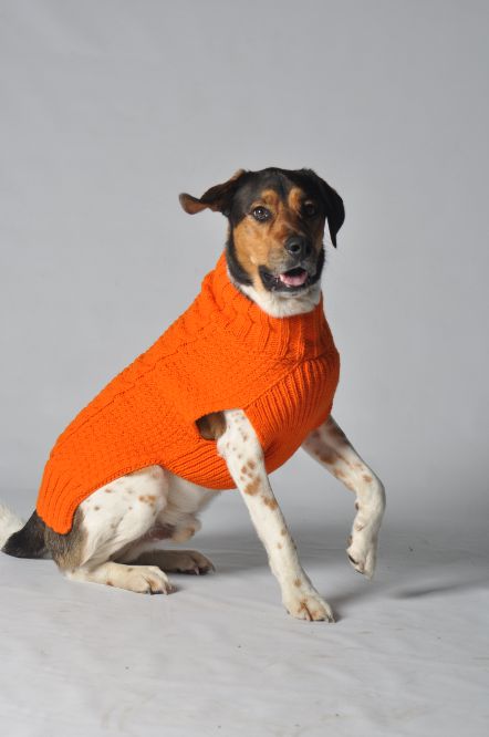 Chilly Dog Orange Cable Knit Sweater