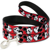 Lead Nylon Mickey Mouse-Southern Agriculture