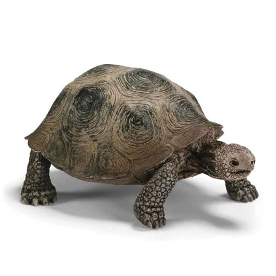 Schleich Giant Tortoise - Southern Agriculture