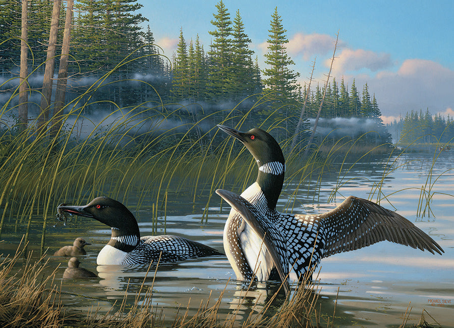 Common Loons Puzzle - Southern Agriculture