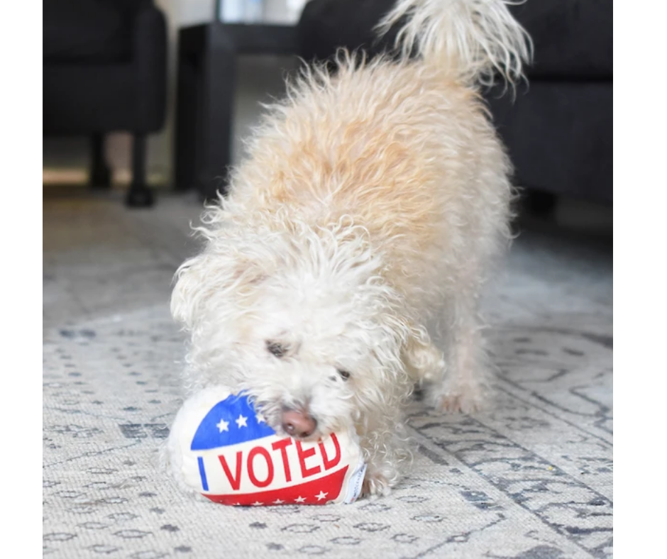 Modernbeast - I Voted. Dog Toy.-Southern Agriculture