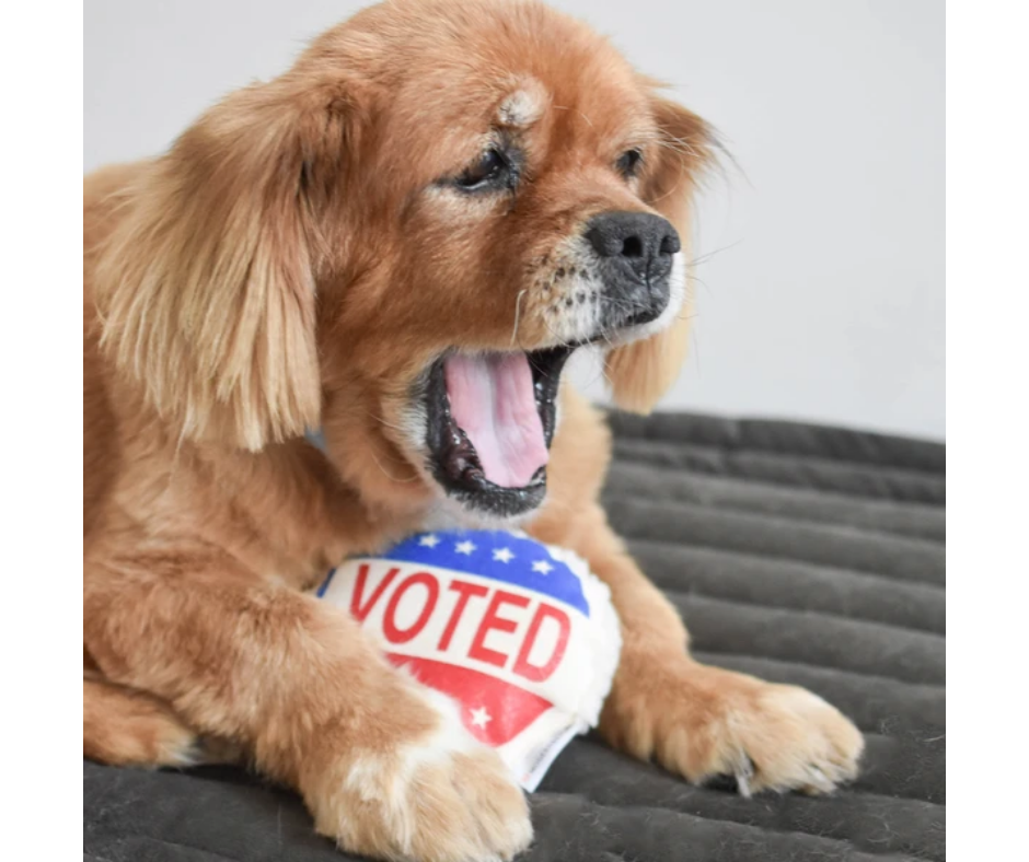 Modernbeast - I Voted. Dog Toy.-Southern Agriculture