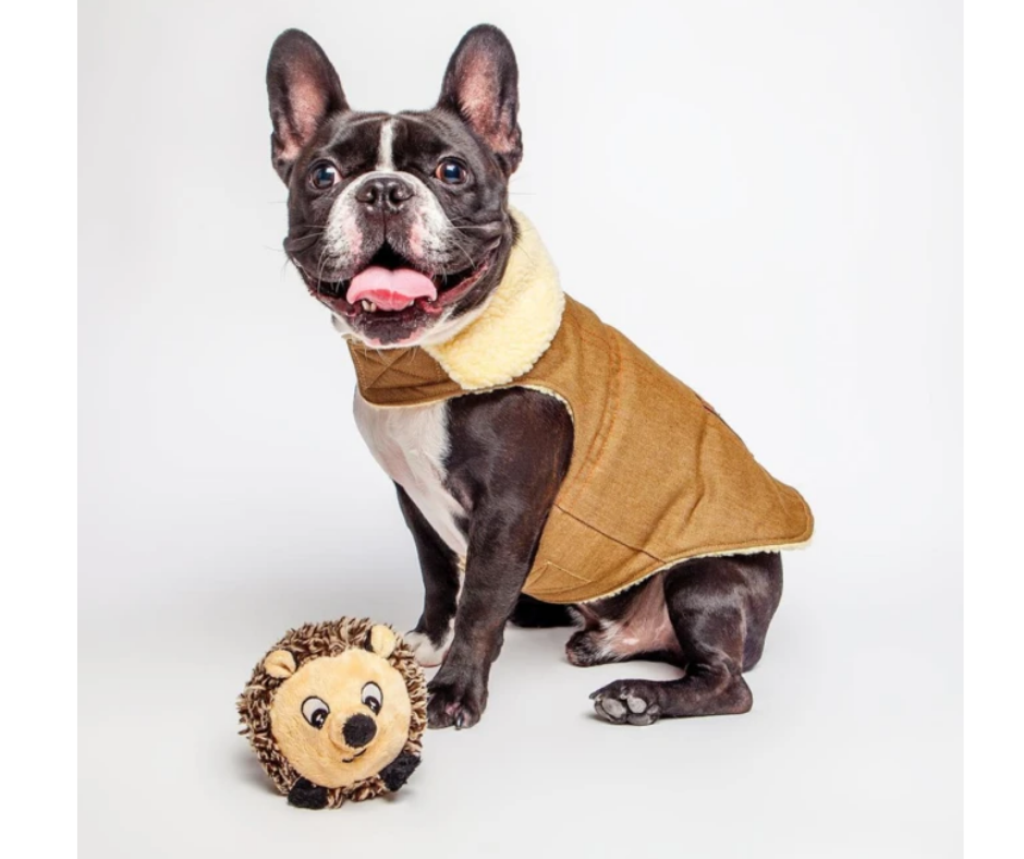 Fab Dog Faball Hedgehog Dog Toy - Main Image