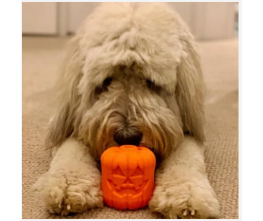 SodaPup MBK Jack O'Lantern Durable Dog Chew Toy With Treat Insert. D