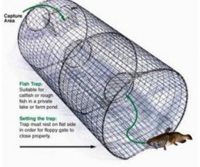 Pied Piper - Trap for Catfish & Rough Fish-Southern Agriculture
