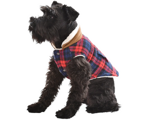 Scottish Jacket Plaid (Red & Blue) for Dogs-Southern Agriculture