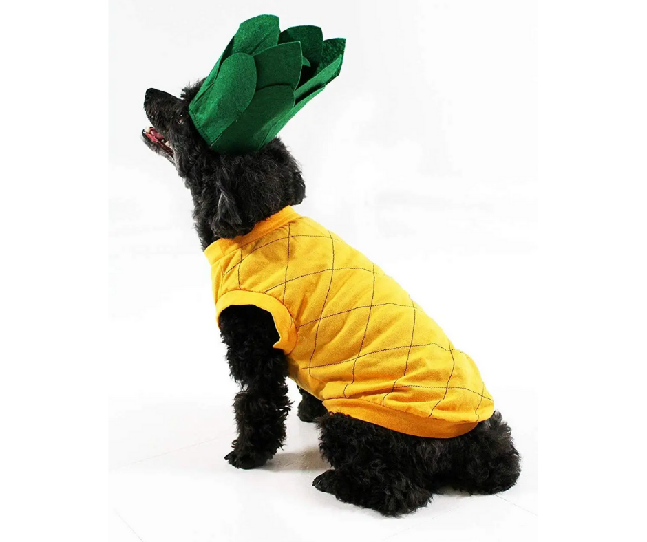 Pineapple Dog Costume-Southern Agriculture