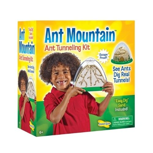 Insect Lore Ant Mountain Ant Tunneling Kit-Southern Agriculture