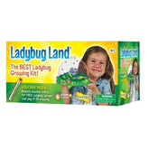 Insect Lore Ladybug Land Hatching Kit-Southern Agriculture
