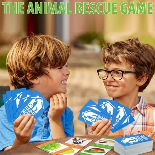 Forever Home Animal Rescue Game-Southern Agriculture