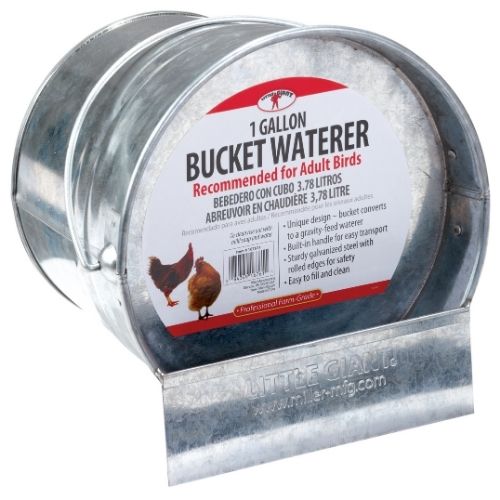 Galvanized Bucket Poultry Waterer-Southern Agriculture