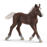 Schleich Black Forest Foal-Southern Agriculture