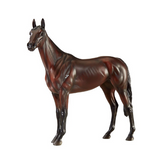 Breyer Winx-Southern Agriculture