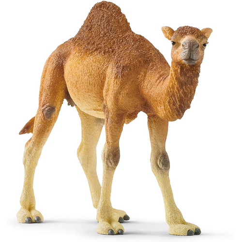 Schleich Dromedary Camel-Southern Agriculture