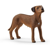 Schleich Rhodesian Ridgeback-Southern Agriculture