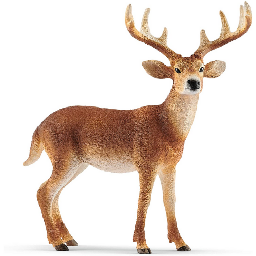 Schleich White Tailed Buck-Southern Agriculture