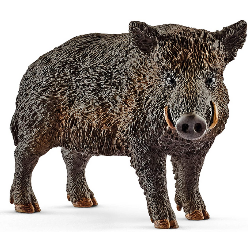 Schleich Wild Boar-Southern Agriculture